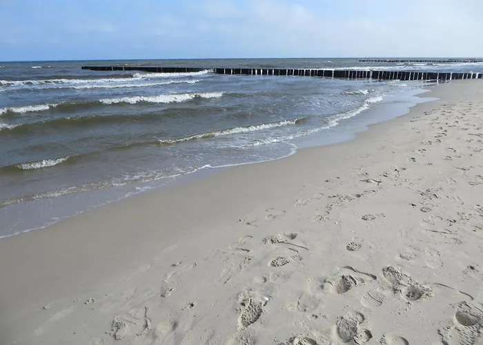 Gardenia Przy Plazy 17