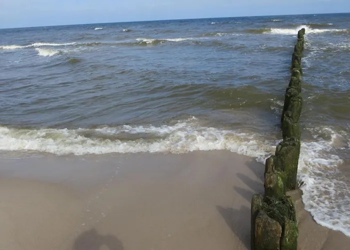 Gardenia Przy Plazy 17 Daire