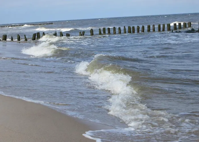 Gardenia Przy Plazy 17 *